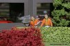 Bilder Rennbahnfiguren